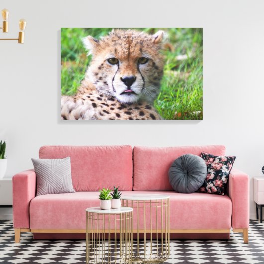 Cheetah Leinwanddruck (Insitu (Wohnzimmer))