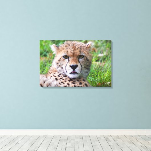 Cheetah Leinwanddruck (Insitu (Holzboden))