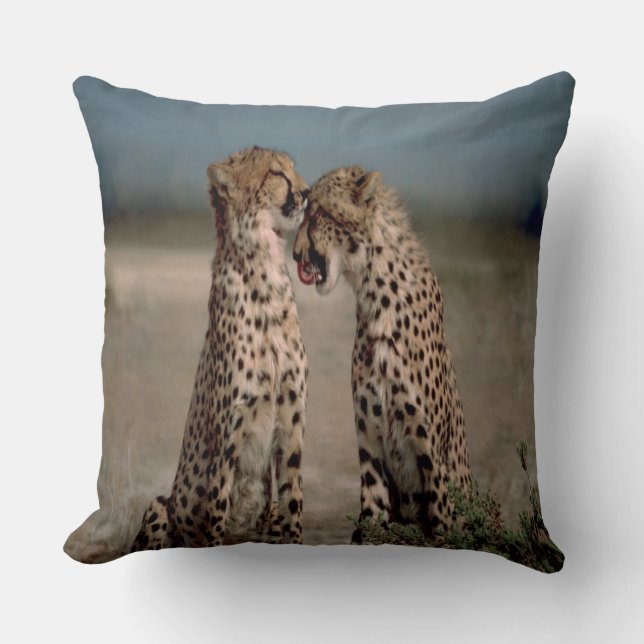 Cheetah Liebe Kissen (Vorderseite)