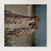 Cheetah Liebe Puzzle (Horizontal)