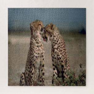 Cheetah Liebe Puzzle