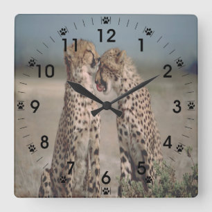 Cheetah Liebe Quadratische Wanduhr