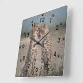 Cheetah Liebe Quadratische Wanduhr (Winkel)