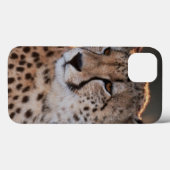 Cheetah Looking Away Case-Mate iPhone Hülle (Rückseite (Horizontal))