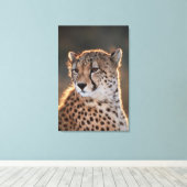Cheetah Looking Away Leinwanddruck (Insitu (Holzboden))
