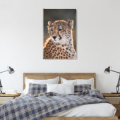 Cheetah Looking Away Leinwanddruck (Insitu (Schlafzimmer))