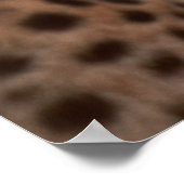 Cheetah Looking Away Poster (Ecke)