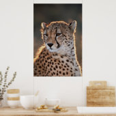 Cheetah Looking Away Poster (Küche)