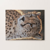 Cheetah Looking Away Puzzle (Horizontal)
