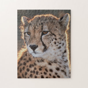 Cheetah Looking Away Puzzle