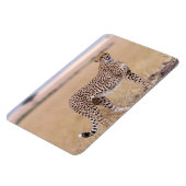 Cheetah Magnet (Linke Seite)