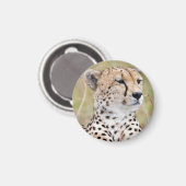 Cheetah Magnet (Vorderseite/Rückseite)