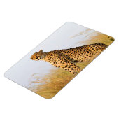 Cheetah Magnet (Linke Seite)