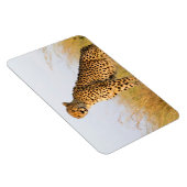 Cheetah Magnet (Rechte Seite)