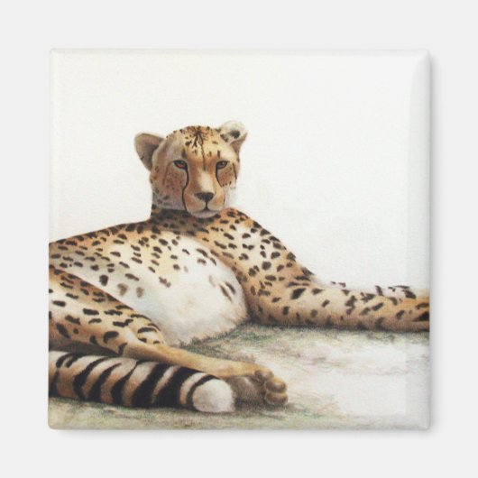 Cheetah Magnet (Vorne)