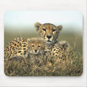 Cheetah-Mama und CUB Mousepad (Vorne)