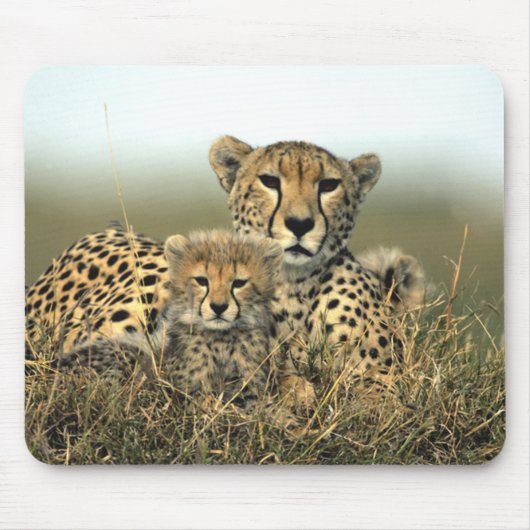 Cheetah-Mama und CUB Mousepad (Vorne)