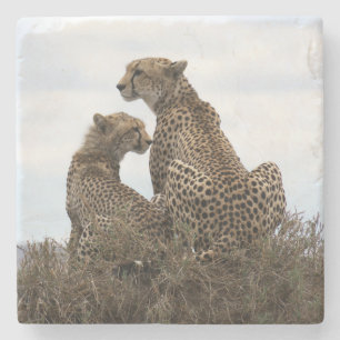 Cheetah Mama und Cub (Vollfarbe) Stein Untersetzer