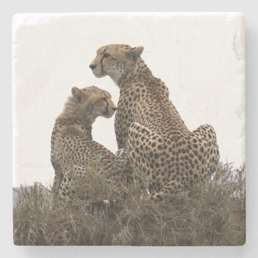 Cheetah Mama und Cube Stone Untersetzer (Vorderseite)