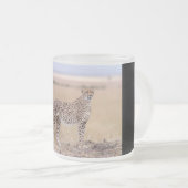 Cheetah Mattglastasse (VorderseiteRechts)