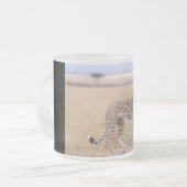 Cheetah Mattglastasse (Vorderseite Links)