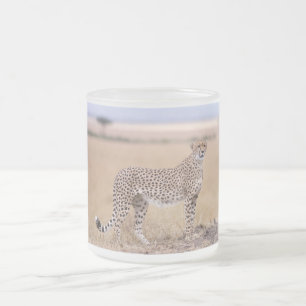 Cheetah Mattglastasse