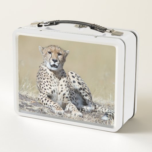 Cheetah Metall Brotdose (Rückseite)