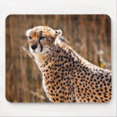 Cheetah Mousepad (Vorne)