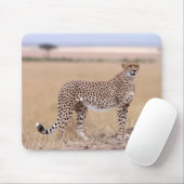 Cheetah Mousepad (Mit Mouse)