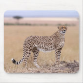 Cheetah Mousepad (Vorne)