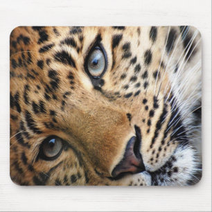 Cheetah Mousepad