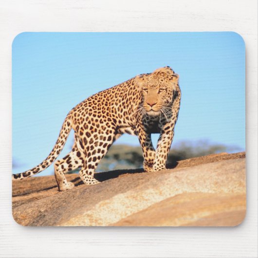 Cheetah Mousepad (Vorne)