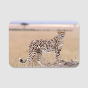 Cheetah Namensschild