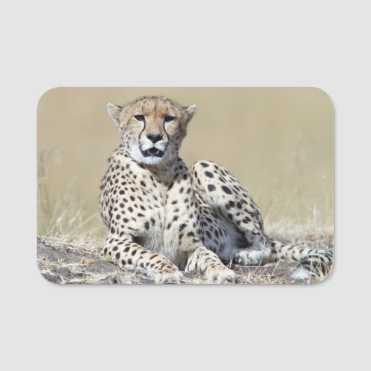 Cheetah Namensschild (Vorderseite)