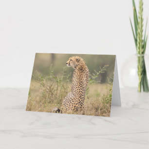 Cheetah Natural Setting Personalisieren Text Signa Karte