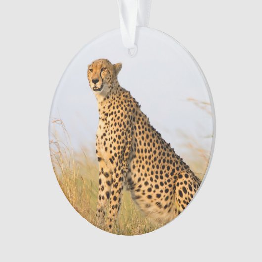 Cheetah Ornament (Vorderseite)