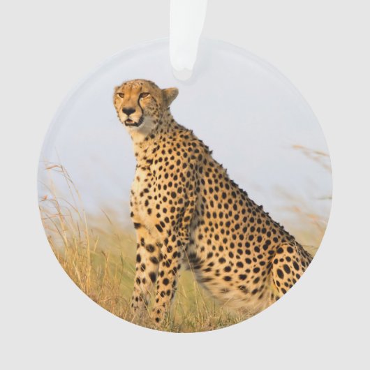 Cheetah Ornament (Vorderseite)