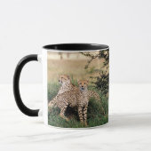 Cheetah Pair Tasse (Links)
