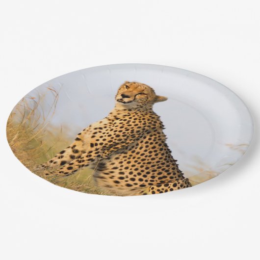 Cheetah Pappteller (Schrägansicht)