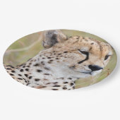 Cheetah Pappteller (Schrägansicht)