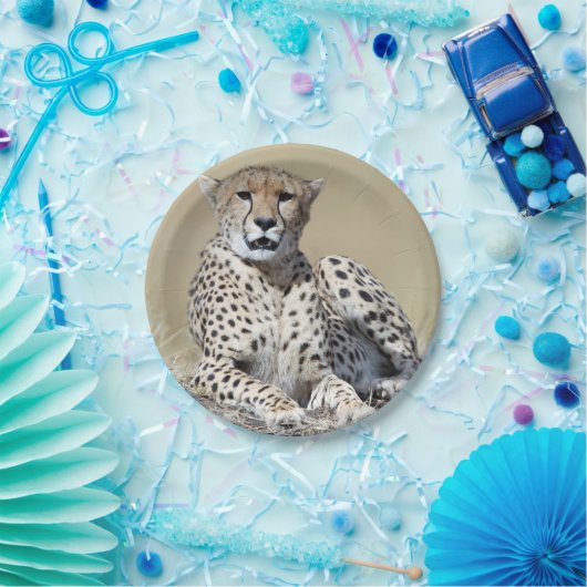 Cheetah Pappteller (Party)