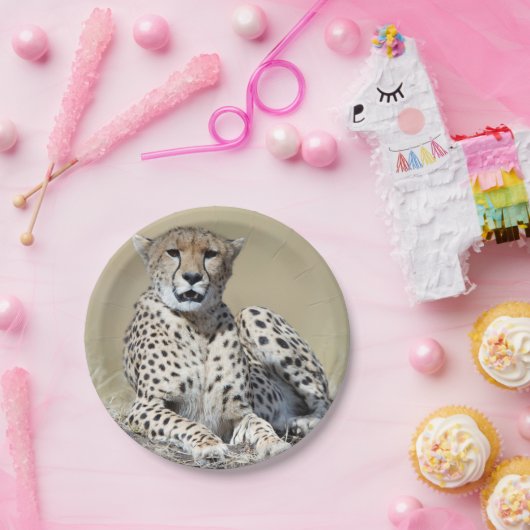 Cheetah Pappteller (Party)