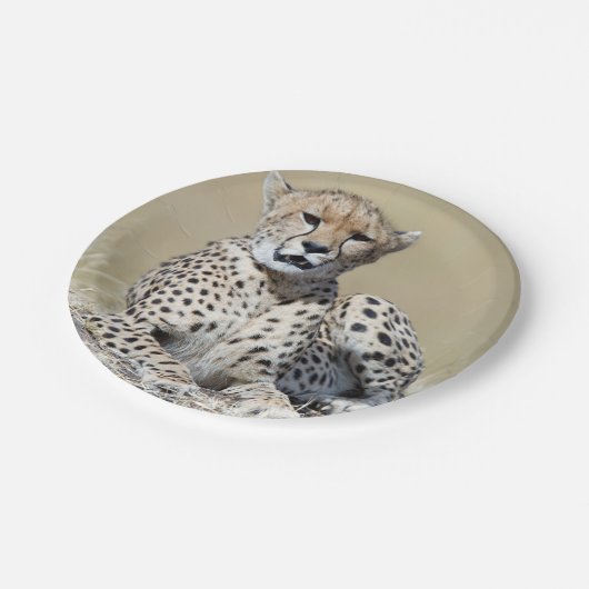 Cheetah Pappteller (Schrägansicht)