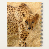 Cheetah Planer (Rückseite)