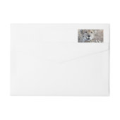 Cheetah Portrait (Rückseite)