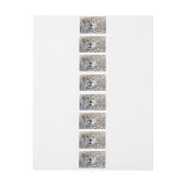 Cheetah Portrait (Bogen)