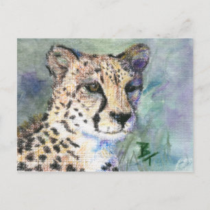 Cheetah Portrait aceo Postcard Postkarte