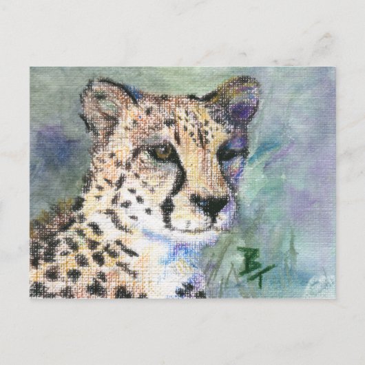 Cheetah Portrait aceo Postcard Postkarte (Vorderseite)