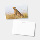 Cheetah Portrait Ausweis (Vorder- & Rückseite)