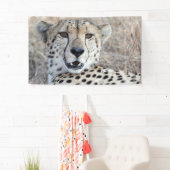 Cheetah Portrait Banner (Insitu)